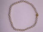 Gold and White Pearl Necklace